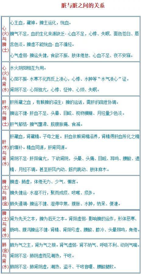 中医养生学视频录制中:从入门到精通的完整指南,轻松制作专业养生视频 中医养生学视频录制中:从入门到精通的完整指南,轻松制作专业养生视频