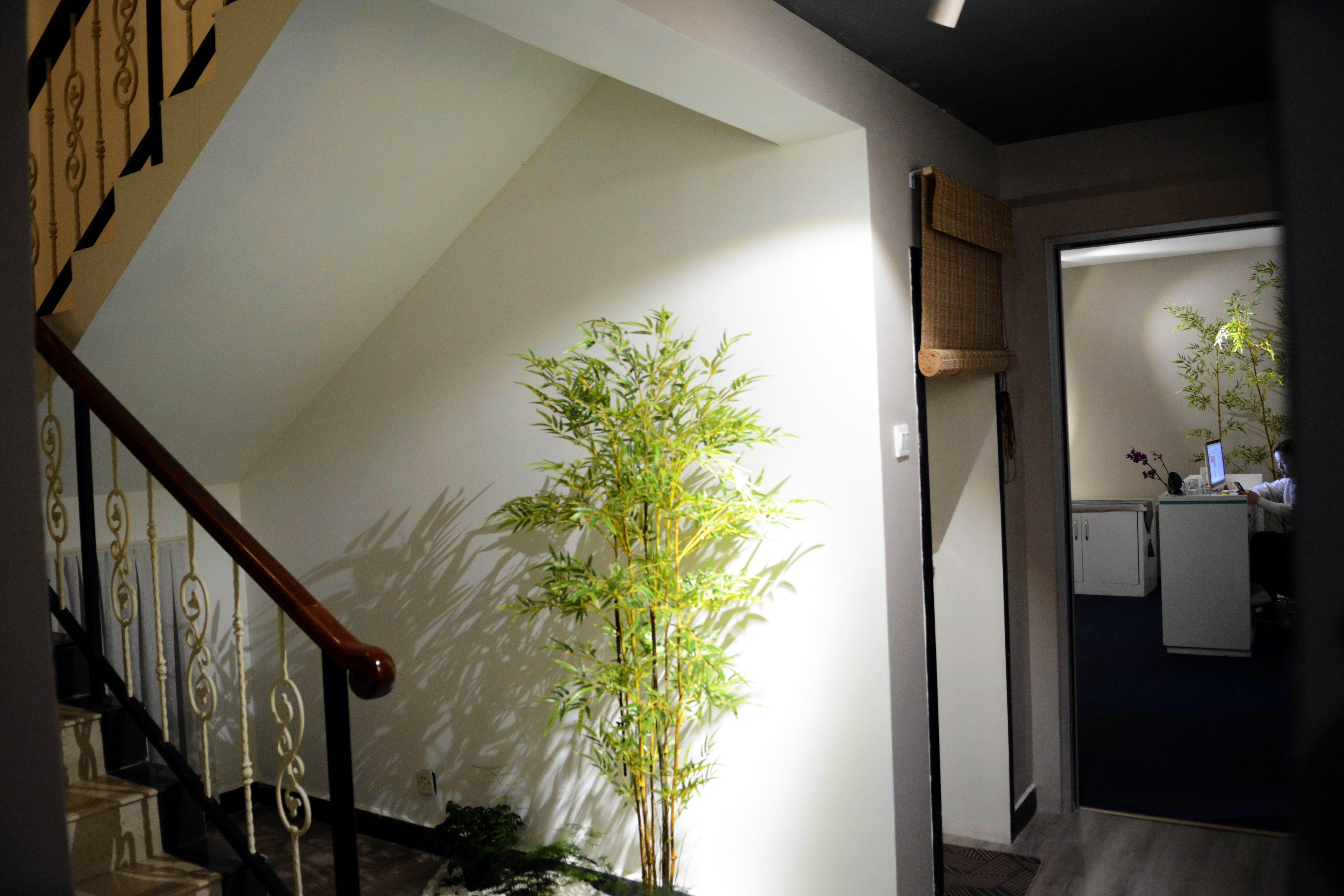 中医养生教学视频大全：轻松学会实用养生技巧，告别亚健康烦恼