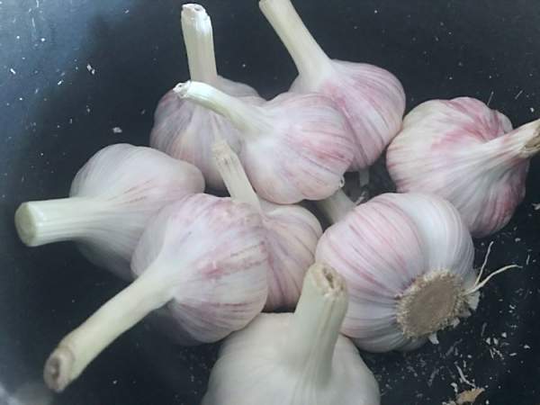 喝大蒜水治百病伪科学视频真相揭秘：科学解析大蒜真实功效与健康风险