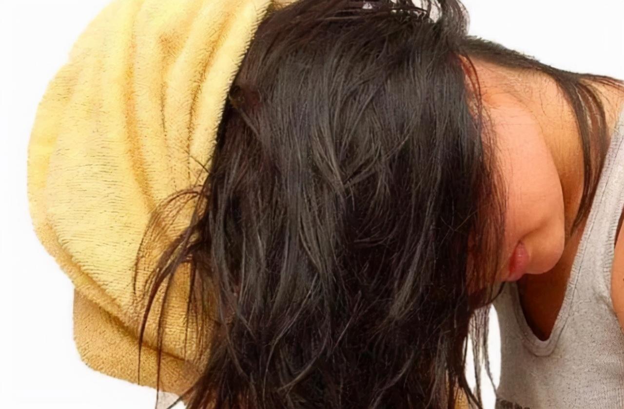 艾草治病是骗局吗视频？揭露真相，告别健康焦虑